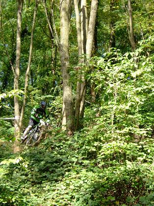 Thomas dans la course