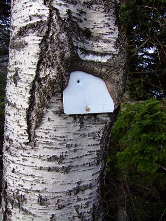 la nature erprend ses droits sur le balisage