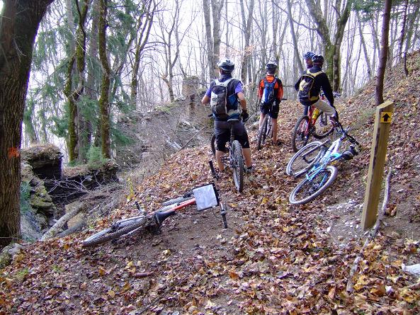 les ruines de Malaine au milieu de la foret
