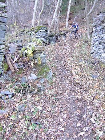 Amélie traverse ce qu'il reste de malaine