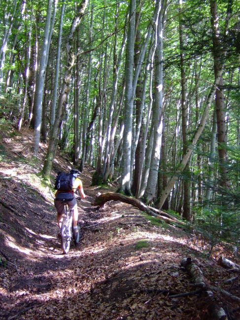 il est pas magnifique se chemin?