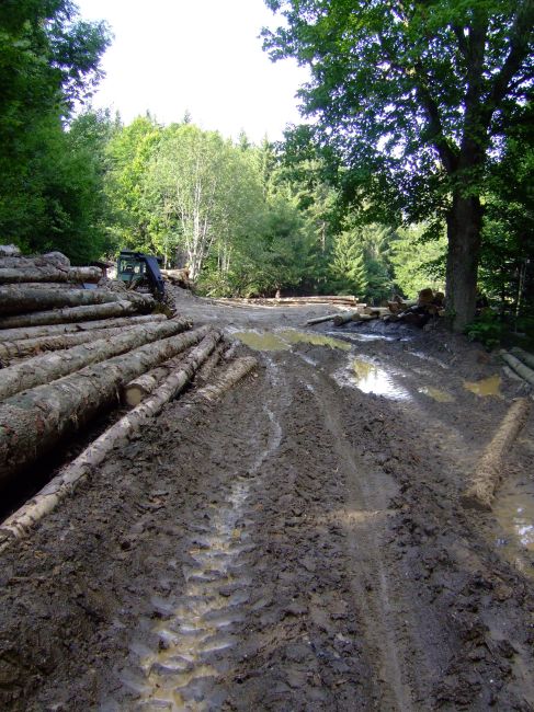 le sentier de la crête est rendu presque impraticable par la pluie et les engins forestiers
