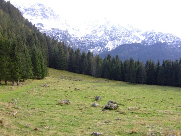 c'est parti pour la descente