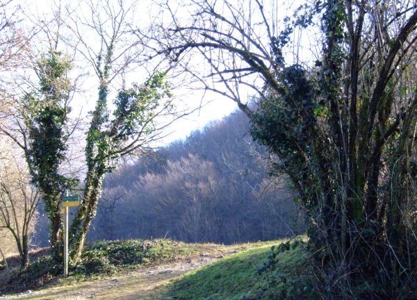 C'est parti sous le soleil! C'est parti sous le soleil!
