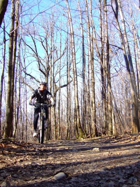 Amélie de nouveau Amélie de nouveau