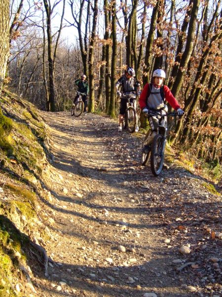 Sur les sentiers de la Frange Verte, un vrai bonheur en descente! Sur les sentiers de la Frange Verte, un vrai bonheur en descente!