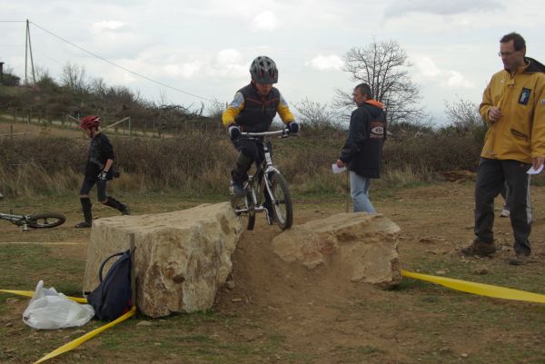 Dans cette catégorie (