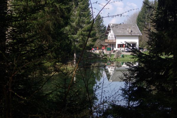 Nous plantons le décor.