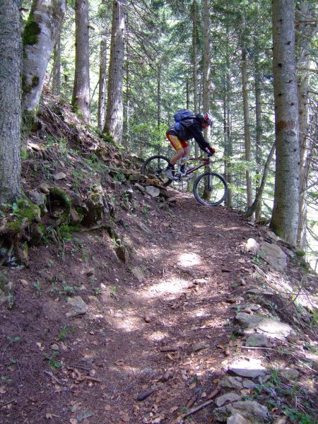 Dur dur la descente en sous bois...