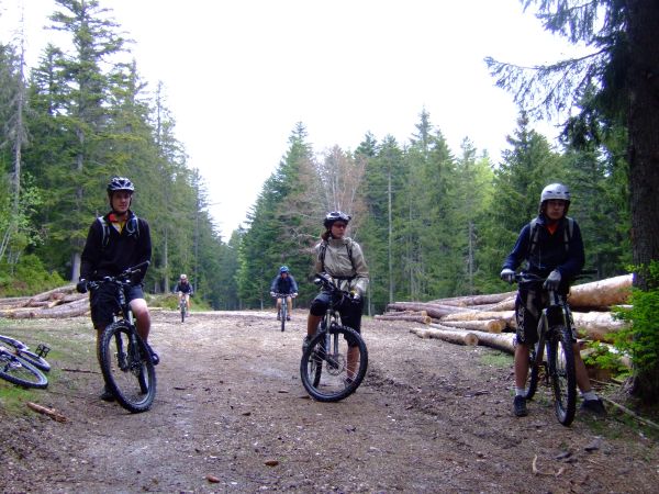 L'ambiance c'est légèrement  modifiée avec l'arrivée de la pluie ...