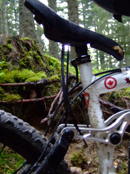 Le malheur des uns fait de belle fotos pour les autres! 3 colliers ont provisoirement réparés la selle cassé de Claude.