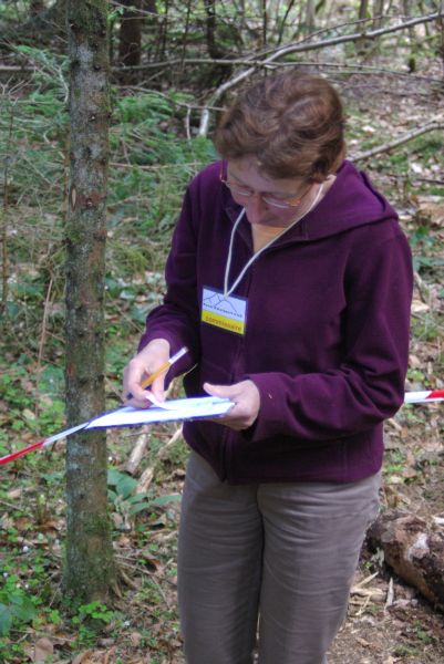 Babeth,commissaire trial.