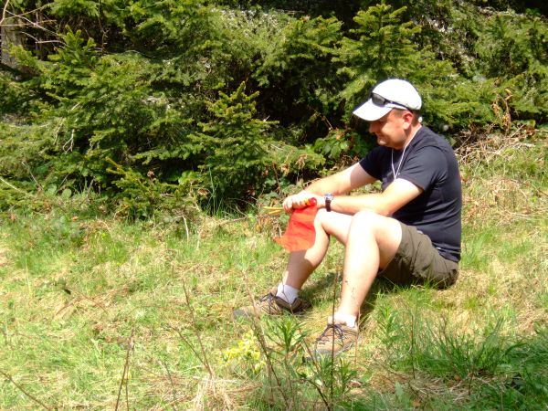 Raphaël,commissaire.