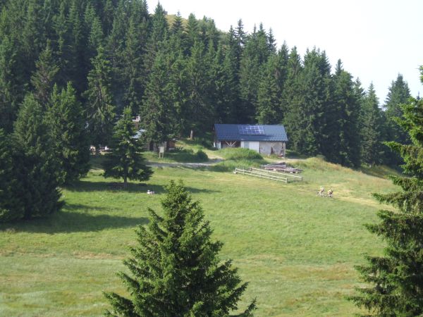 au loin Hugo et Benjamin