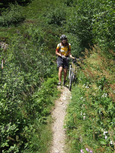 avec quelques poussettes