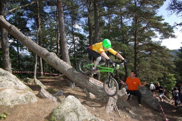 un arbre bien génant