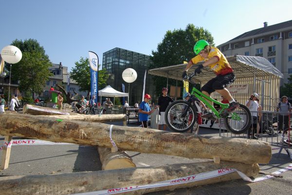 Une superbe zone de troncs