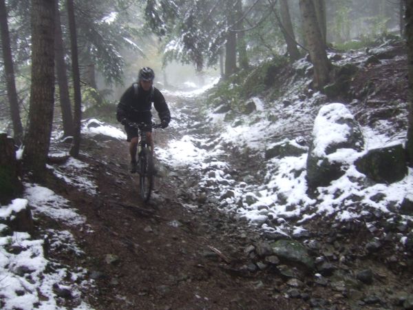La neige adouci le relief même sous les arbres.
