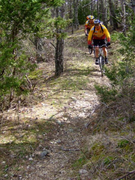 Bernard et Christophe
