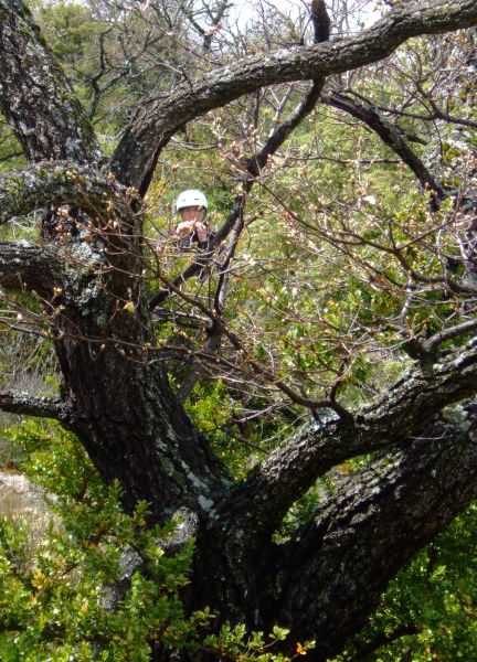 ...ou carrément s'isoler!