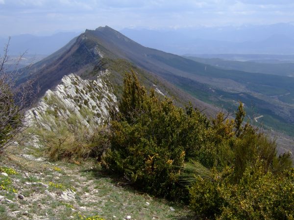 Paysage lors du pique-nic