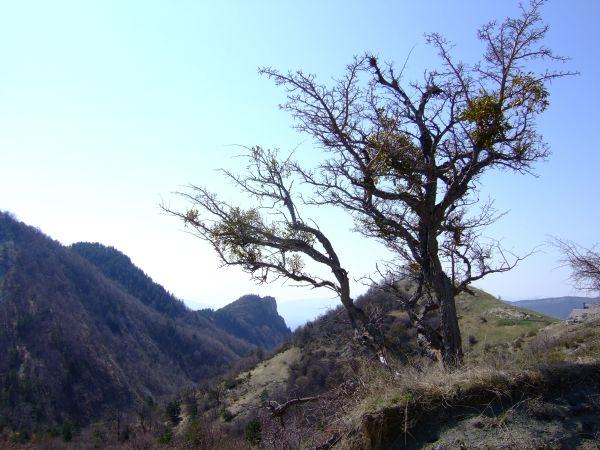 Comme l'an pasé, un 