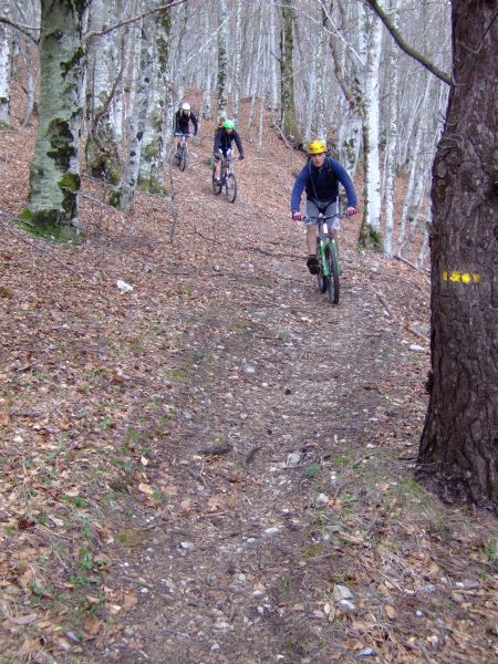 Pas évident le chemin sous les feuilles
