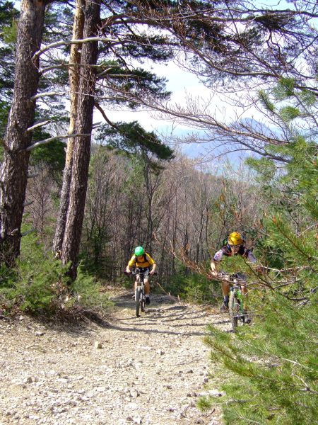 et nous renouons avec notre profil adoré...