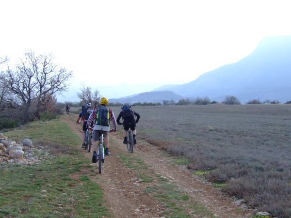 Des paysages vraiment superbes!