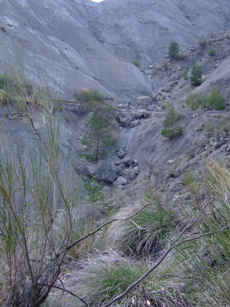 ...et le paysage change.