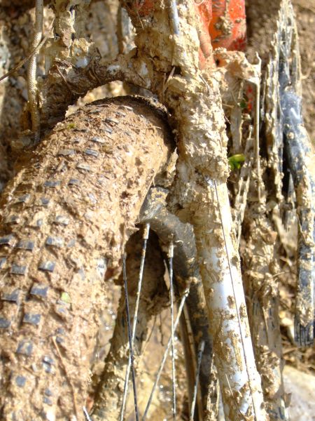 ...que les vélos sont quelque peu sales...