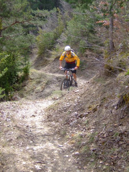Un sentiezr à flanc et en sous bois magnifique! Eric.