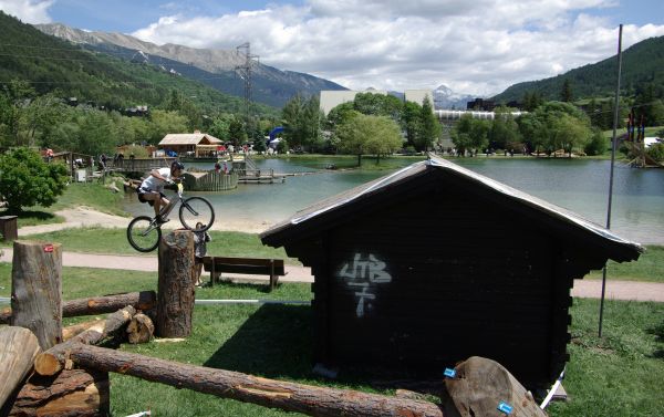 Encore Vincent Hermance. Autre tronc.....