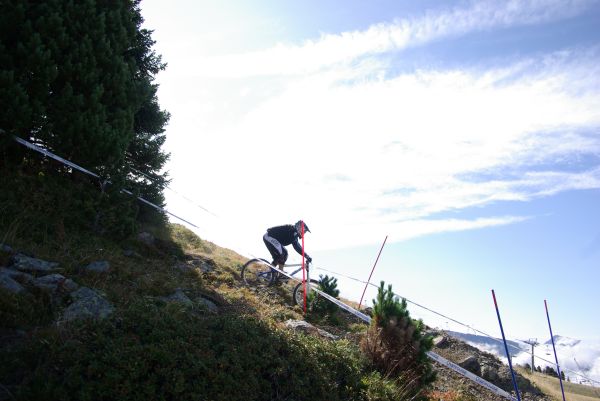 Au sortir d'un bosquet.