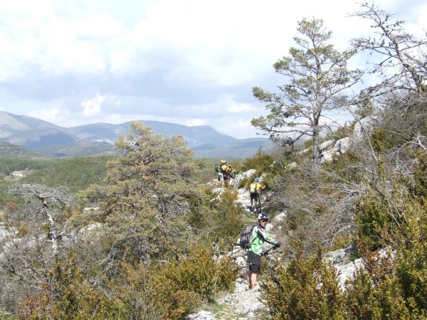 ...avant de continuer à traverser le maquis provençal...