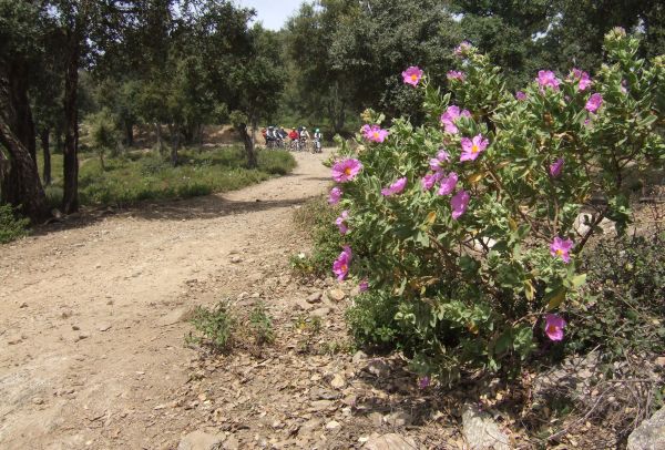 Un peu plus loin le peloton...