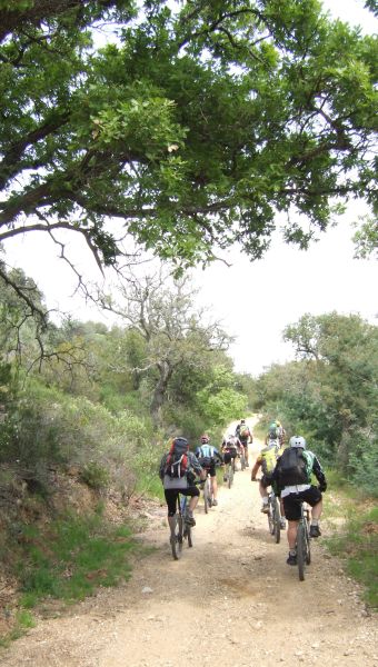...roule sur les chemins du ROC d'Azur.