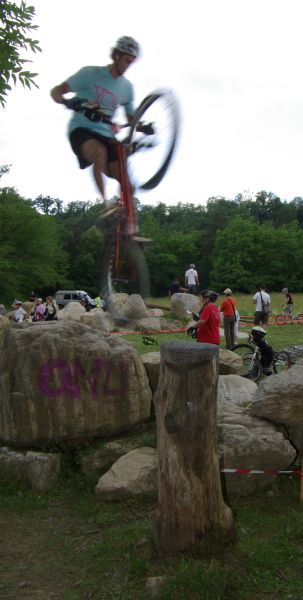 Ailleur, du cailloux sur le tronc debout...