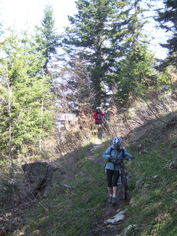 ...rendu rtès glissant par la pluie de la veille...