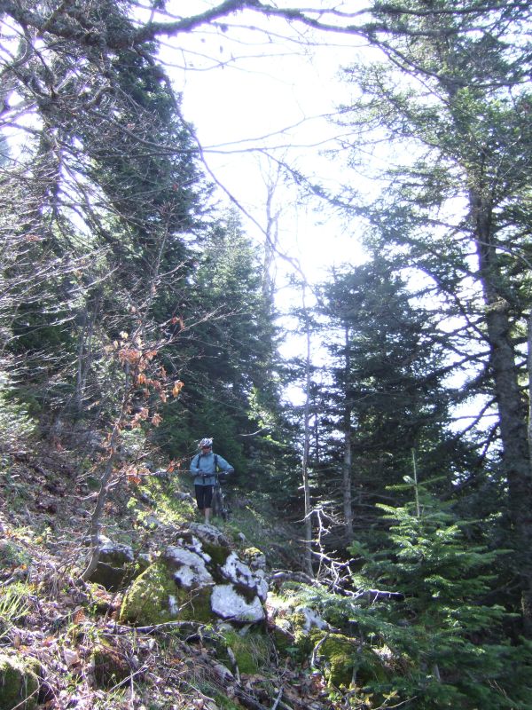 ...n'autorise plus qu'une progression à pied.